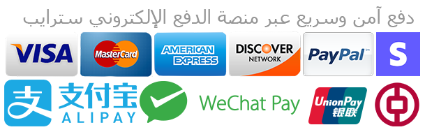 مكتب النخبة للخدمات الدراسية في الصين