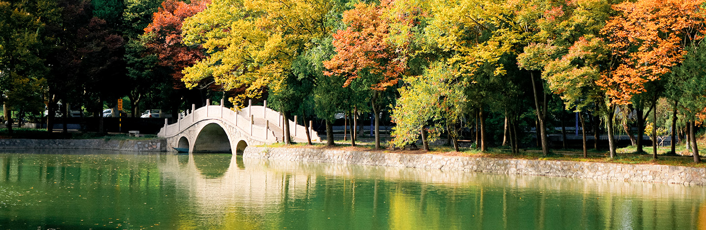 منصة قُبُـول للبكالوريوس